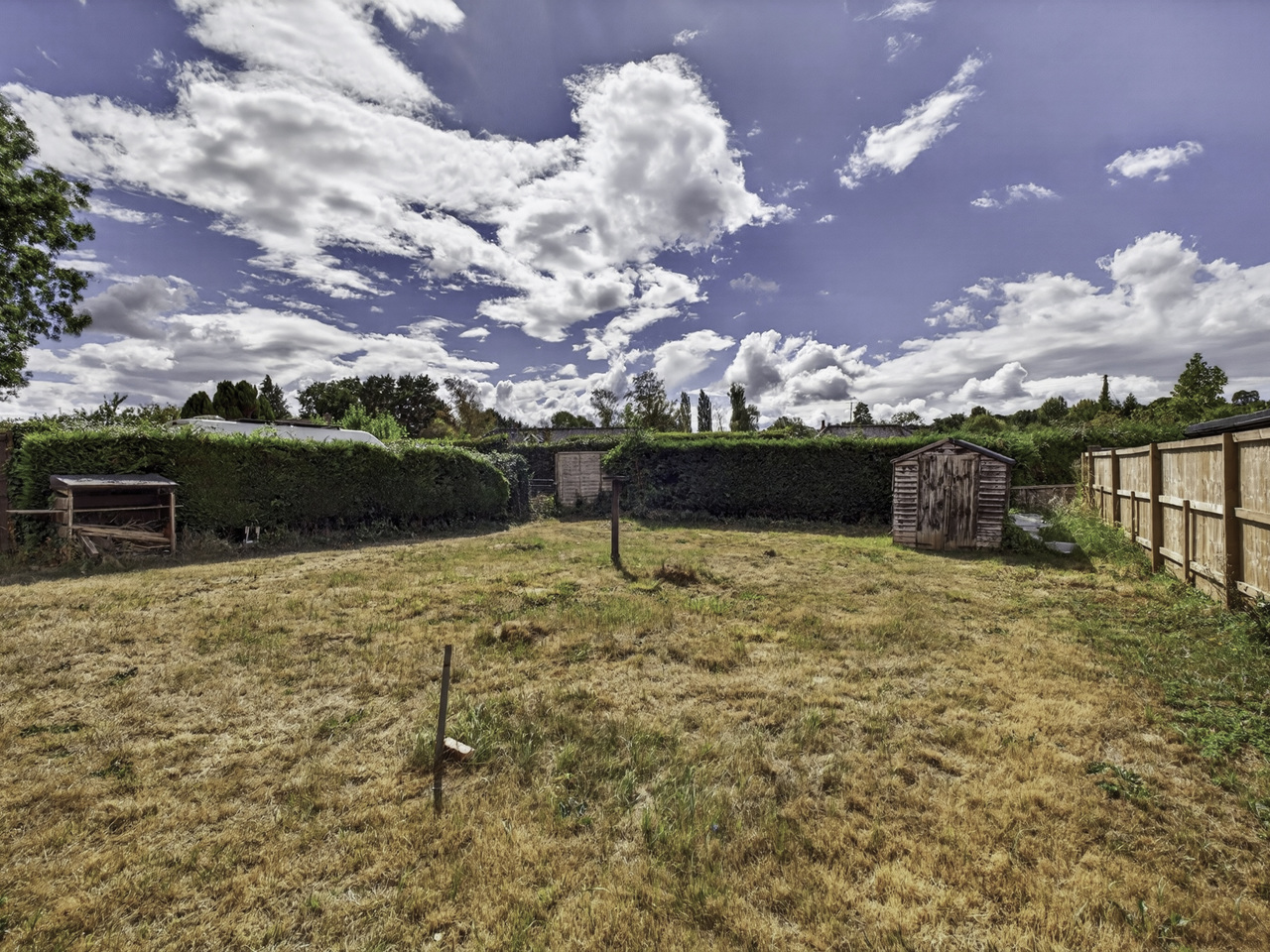 Garden (2)