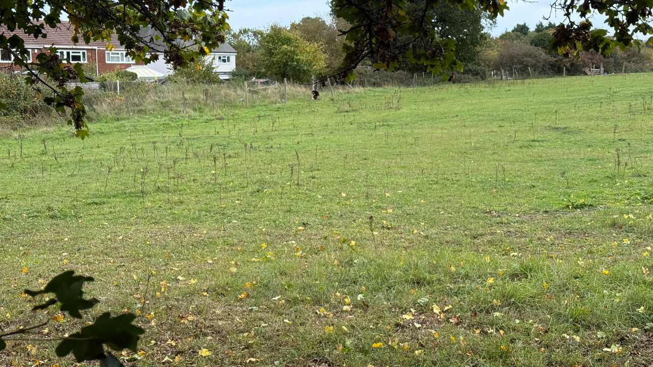 Land