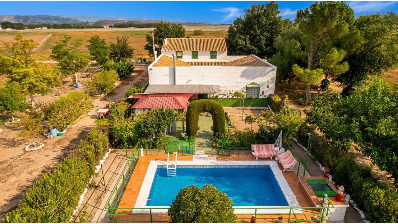 Olive Grove Estates Caudete for sale se vende spanish country house villa (3)