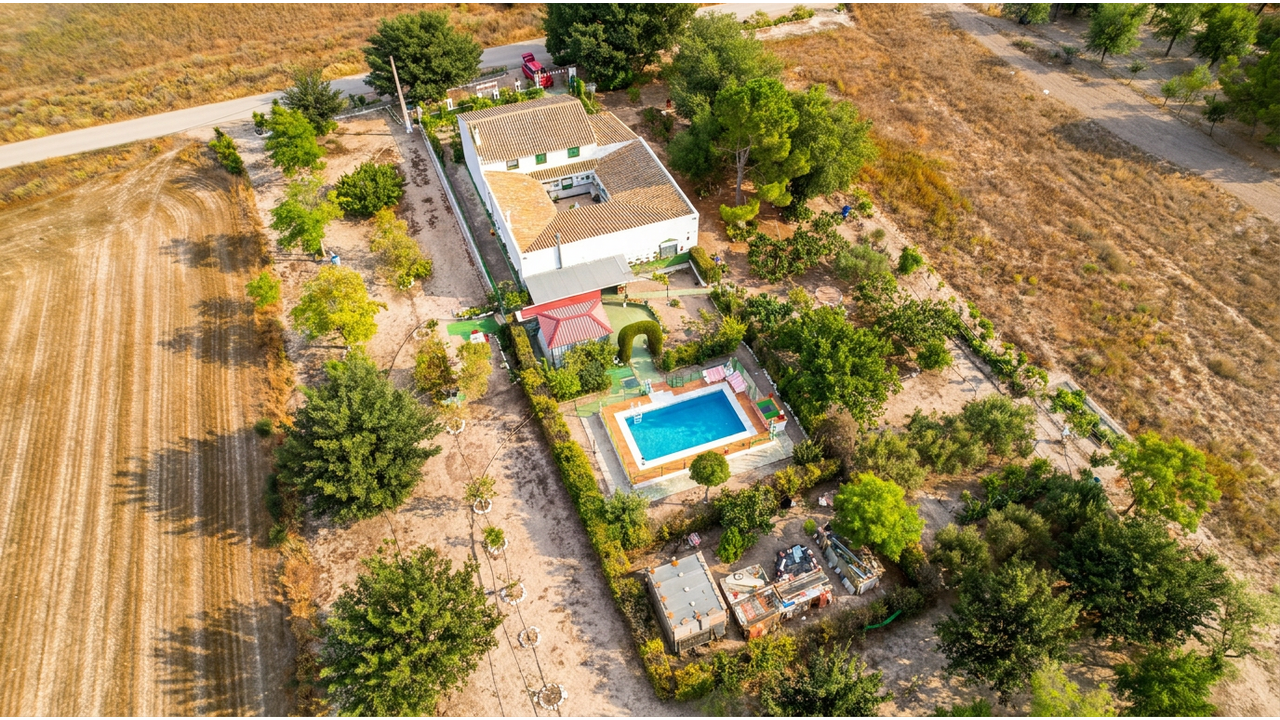 Olive Grove Estates Caudete for sale se vende spanish country house villa (5)