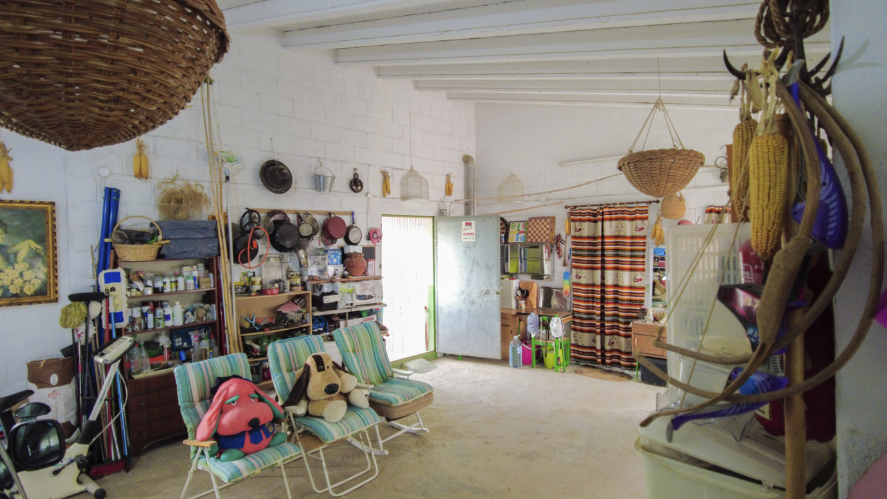 Olive Grove Real  Estate Spanish Spain  (3)