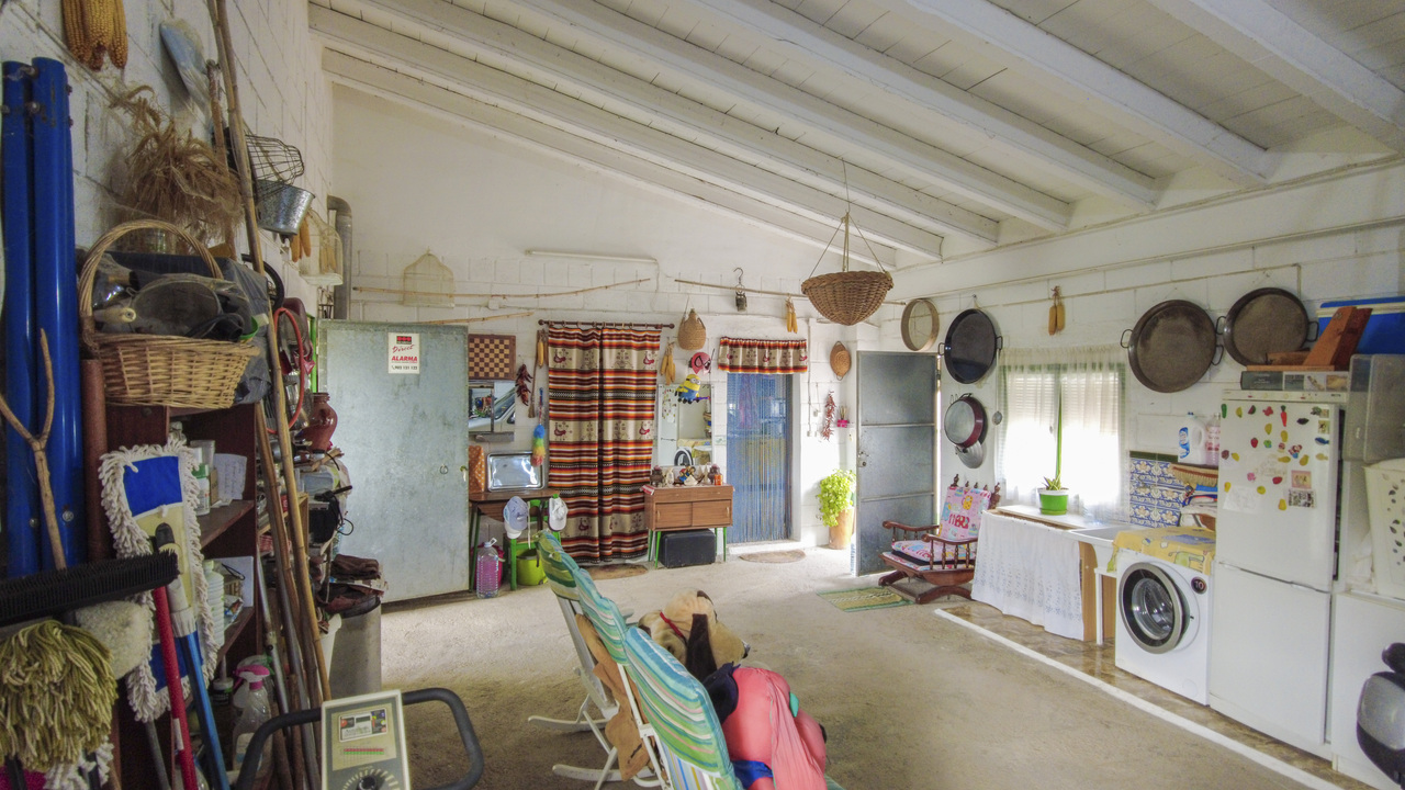Olive Grove Real  Estate Spanish Spain  (4)