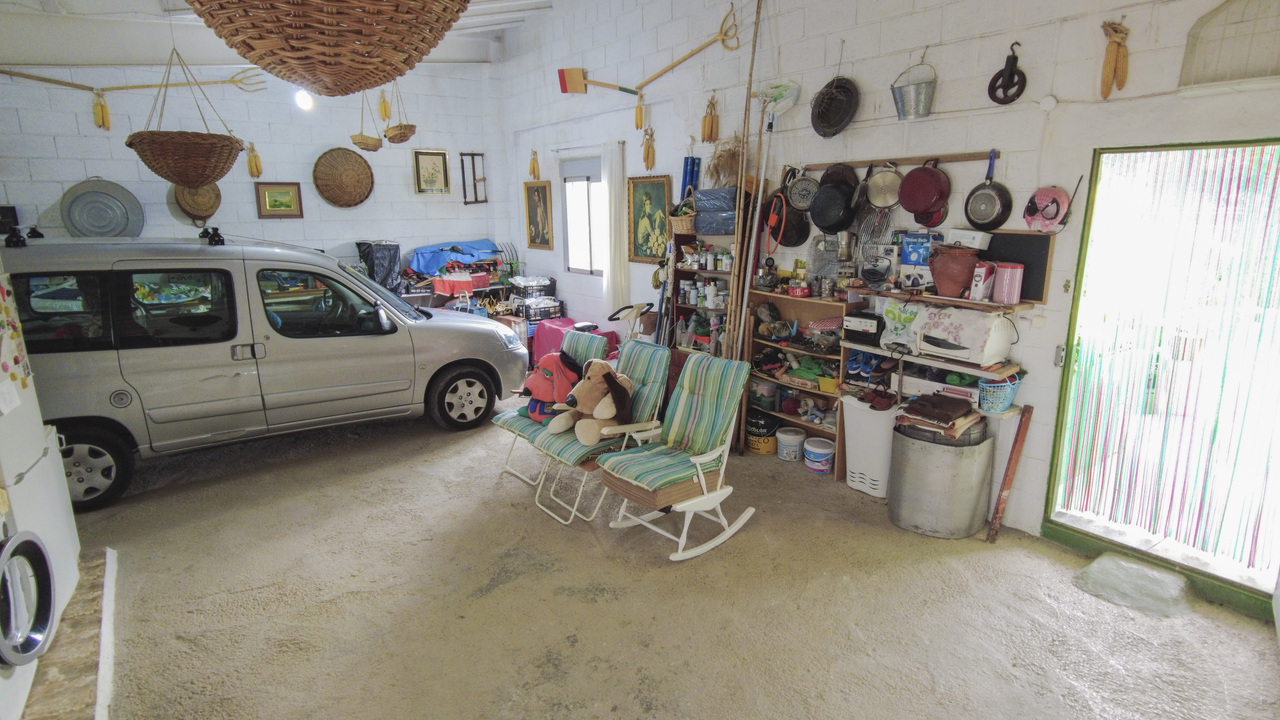 Olive Grove Real  Estate Spanish Spain  (5)