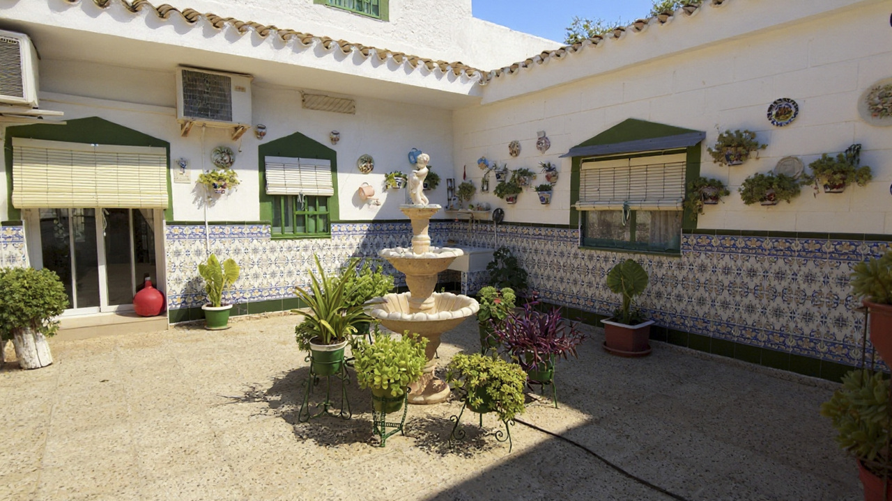 Olive Grove Real  Estate Spanish Spain  (6)