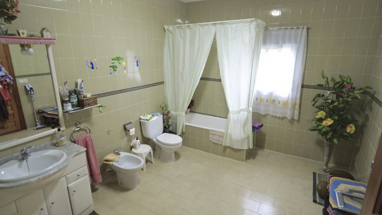 Olive Grove Real  Estate Spanish Spain  (9)