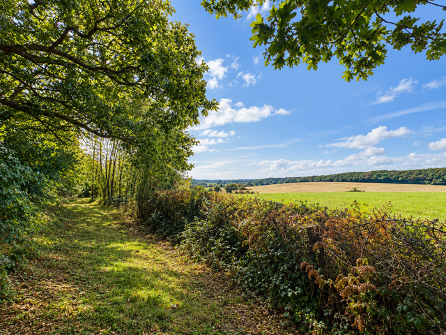 Land on North East side of Boreham Lane, Wartling, Hailsham, East Sussex