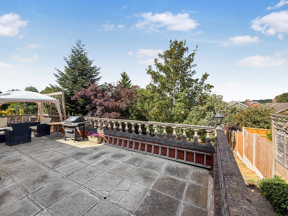 Back garden