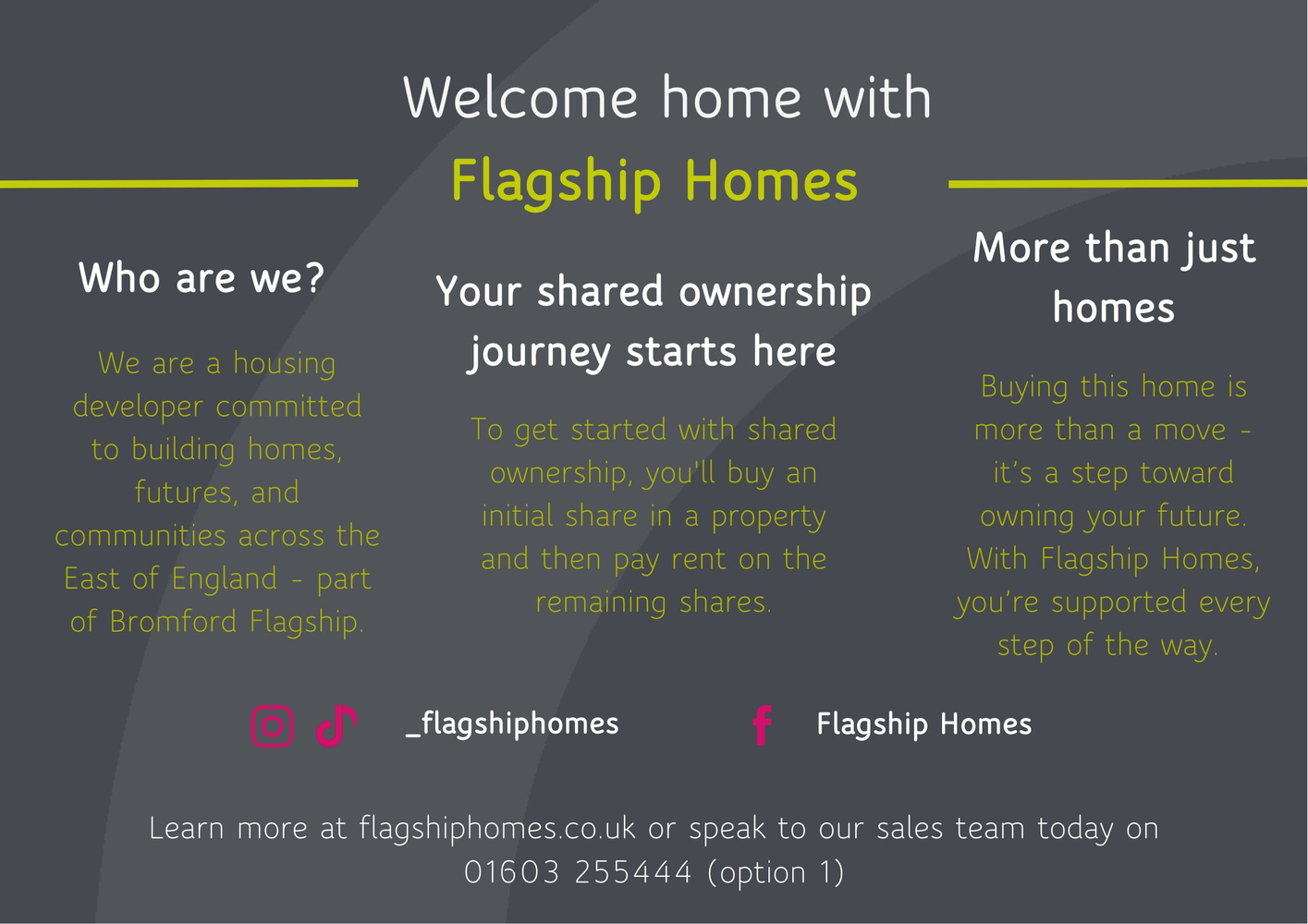 FLAGSHIP GRAPHIC TO BE USED for advertising.jpeg