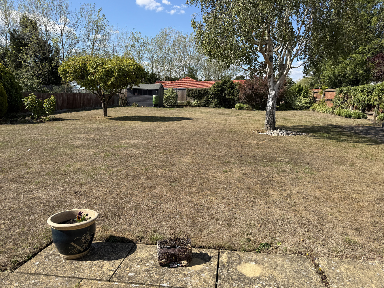 Garden 1.JPG
