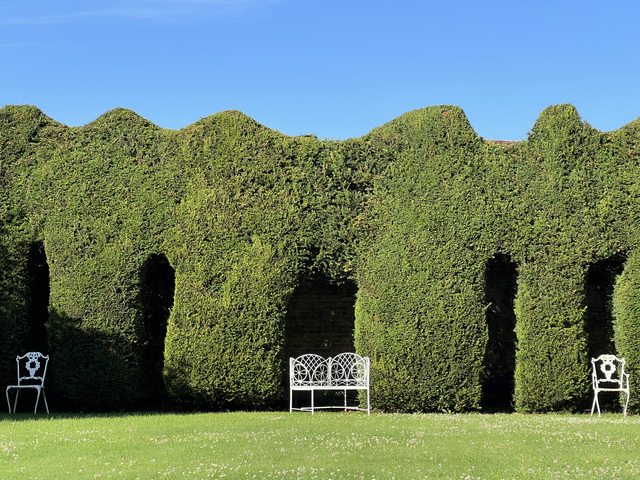 Garden 9.jpeg