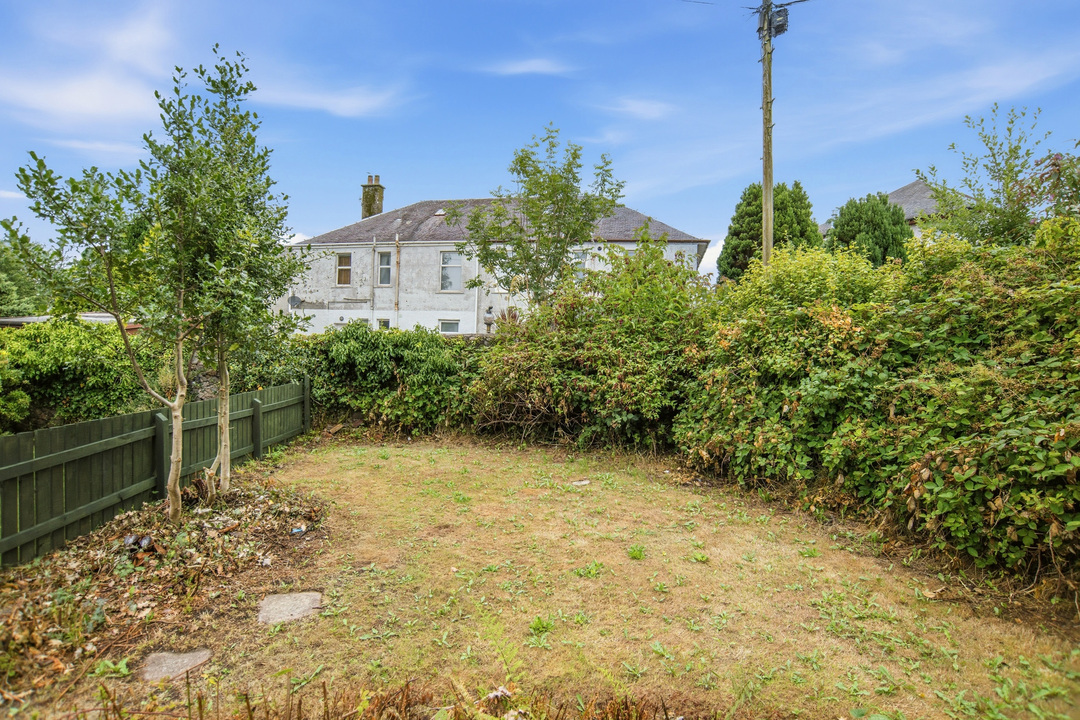 Back garden