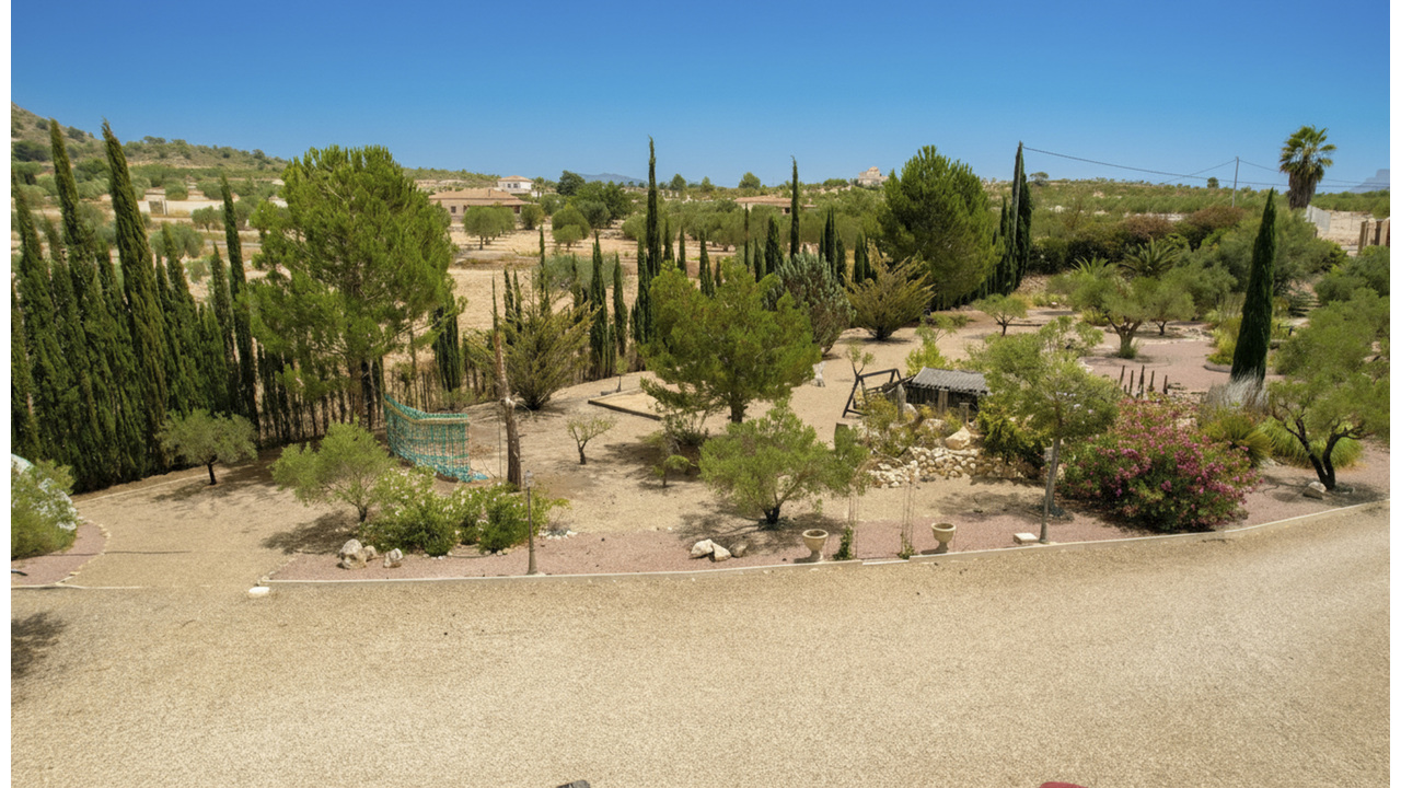 Olive Grove Estates Real Inmobilliario Sax Alicante Luxury Villa for sale se vende (1)
