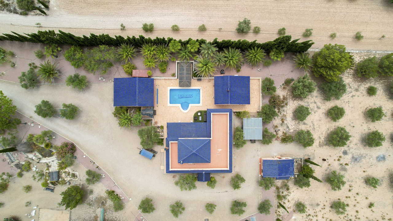 Olive Grove Estates Real Inmobilliario Sax Alicante Luxury Villa for sale se vende (8)